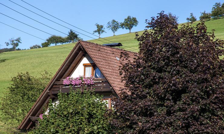 Appartement Kornbauernhof Oberharmersbach